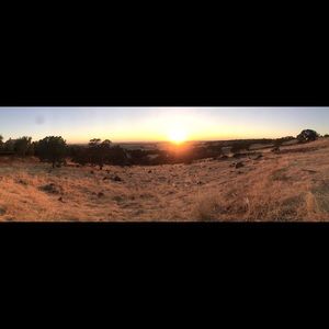 Meet your Posher, Zane